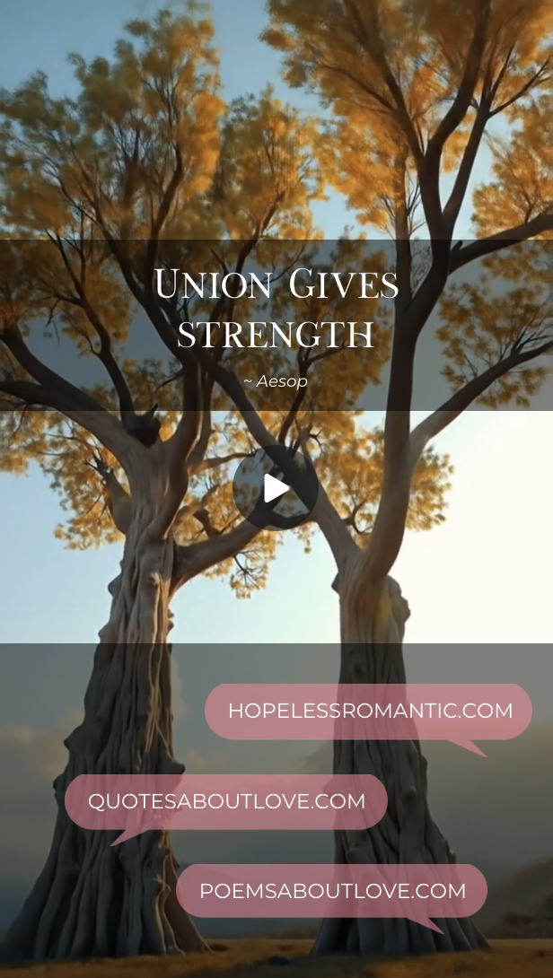 Union gives strength Featured Image